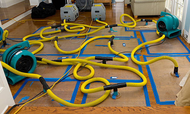 Professional Crawl Space Water Removal technician working in Bonduel, WI